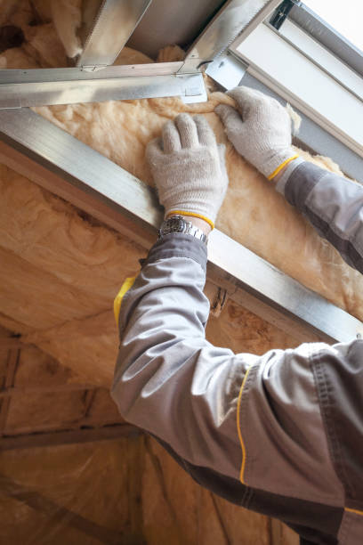 Best Wall Insulation Contractor  in Sugarland Run, VA